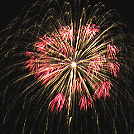 floated small flowers